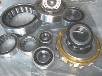Semi-positioning bearings - double row SL1850, 1849 Series